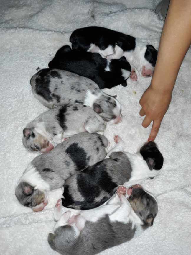 Resized_20200616_173434