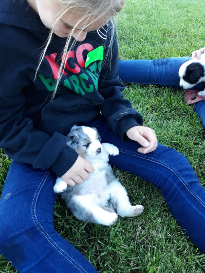 Resized_20200709_190455