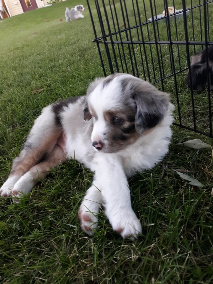 Resized_20200719_195412