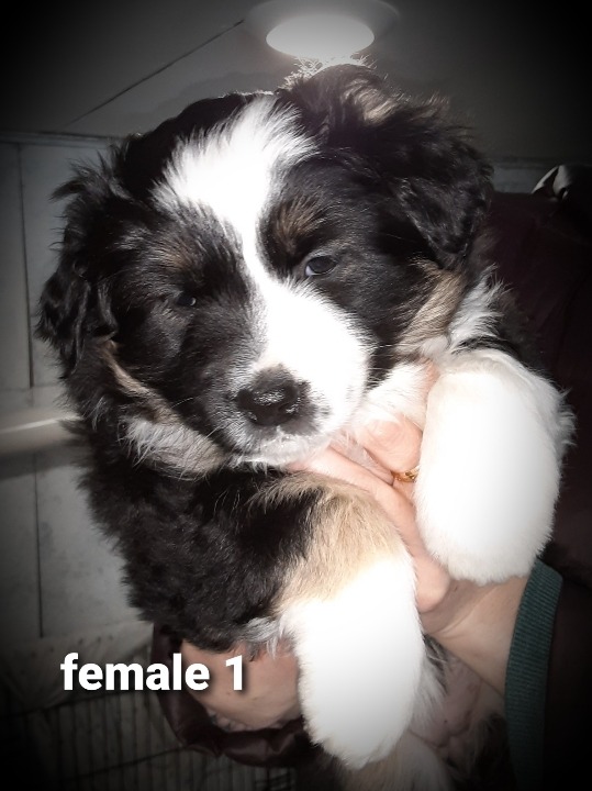 Resized_20210206_193229