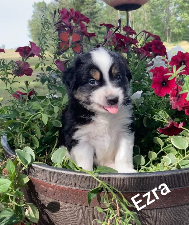 Resized_20210816_063908