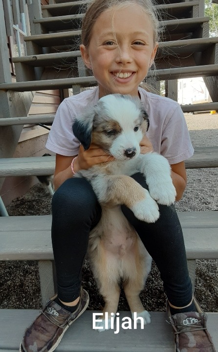 Resized_20210903_151449