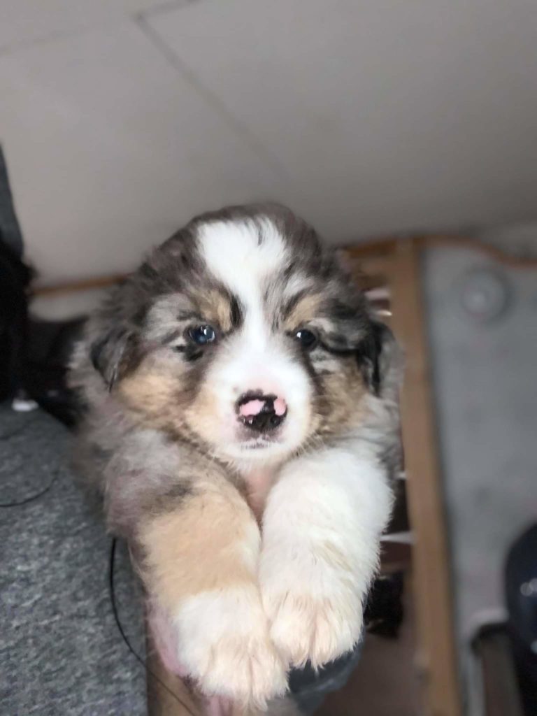 received_209564937708673