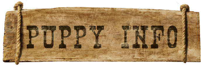 PUPPYINFO
