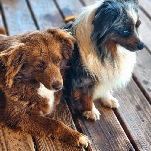 FB_IMG_1690719525313